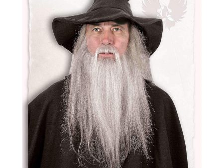 Wizard beard Online now