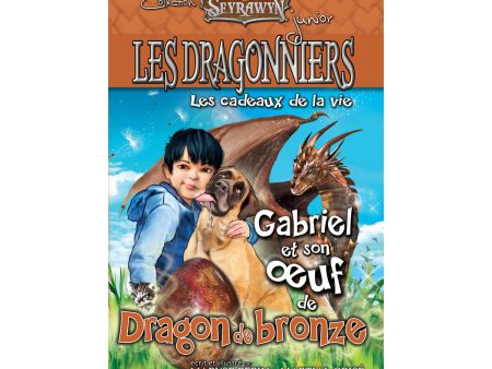 Dragonniers 7 : Gabriel et son oeuf de Dragon de bronze Online Hot Sale