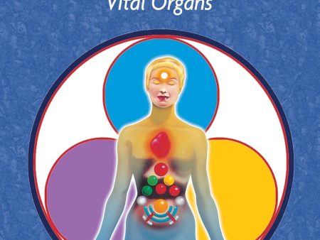 Chi Nei Tsang: Chi Massage for the Vital Organs Book by Mantak Chia Cheap