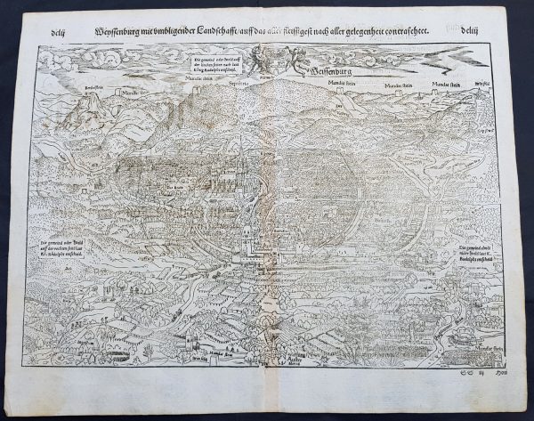 1574 Sebastian Munster Antique Map Birds Eye View of Weissenburg Bavaria Germany For Sale