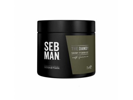 Sebastian SebMan Professional The Dandy Shiny Pommade Lengvos fiksacijos pomada, 75ml +dovana Wella priemonė Supply